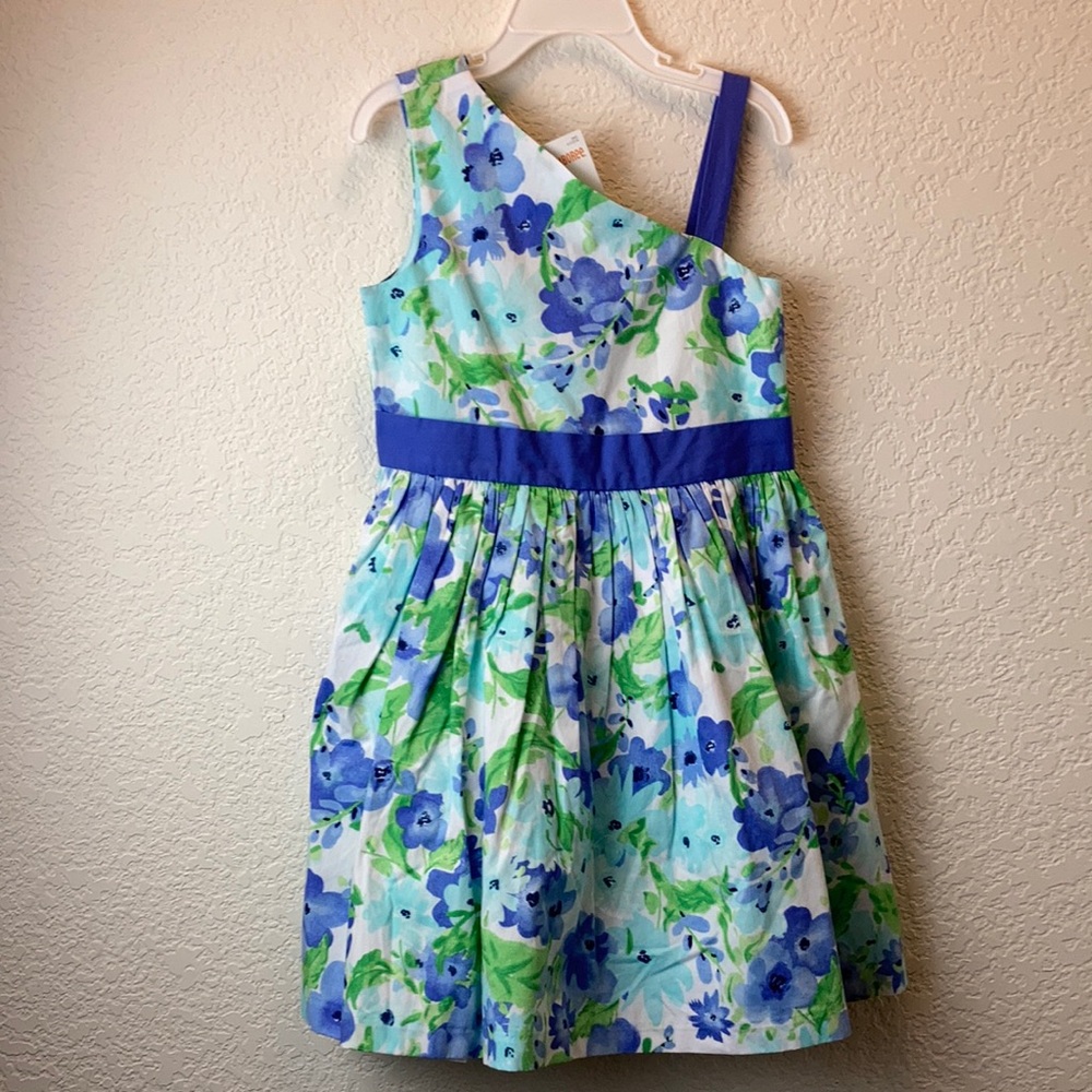Gymboree New White & Blue Floral Sleeveless Dress C69